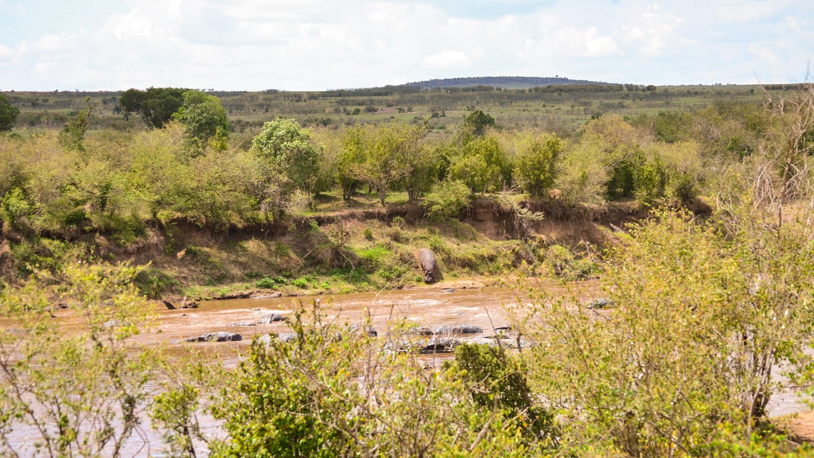 Parque Nacional de Mikumi_masai mara