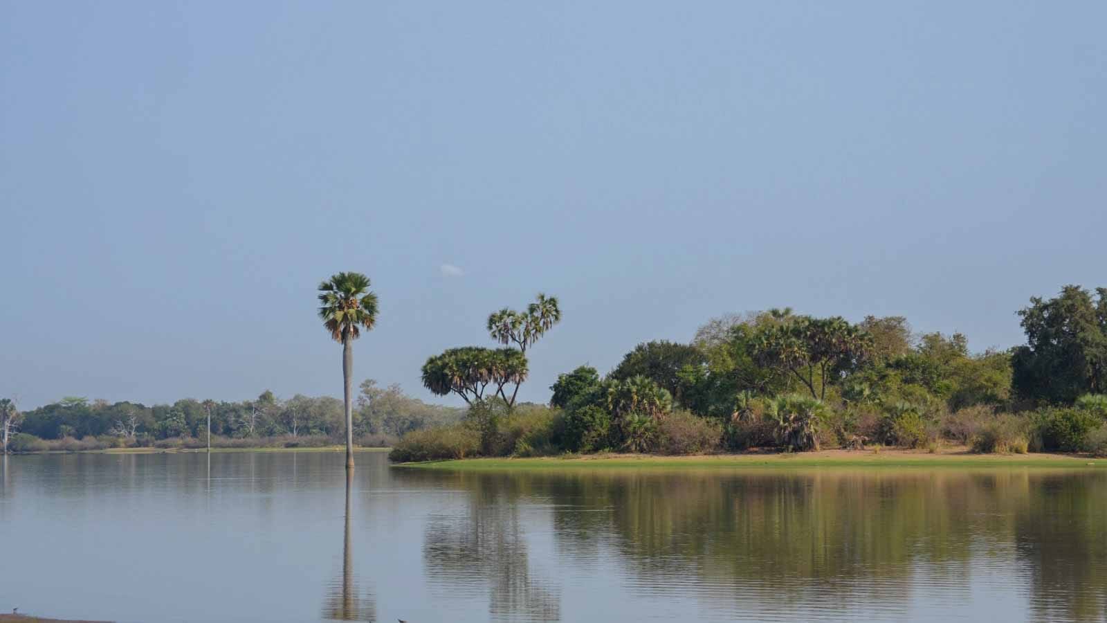 selous_game_reserva_nyerere_national_park
