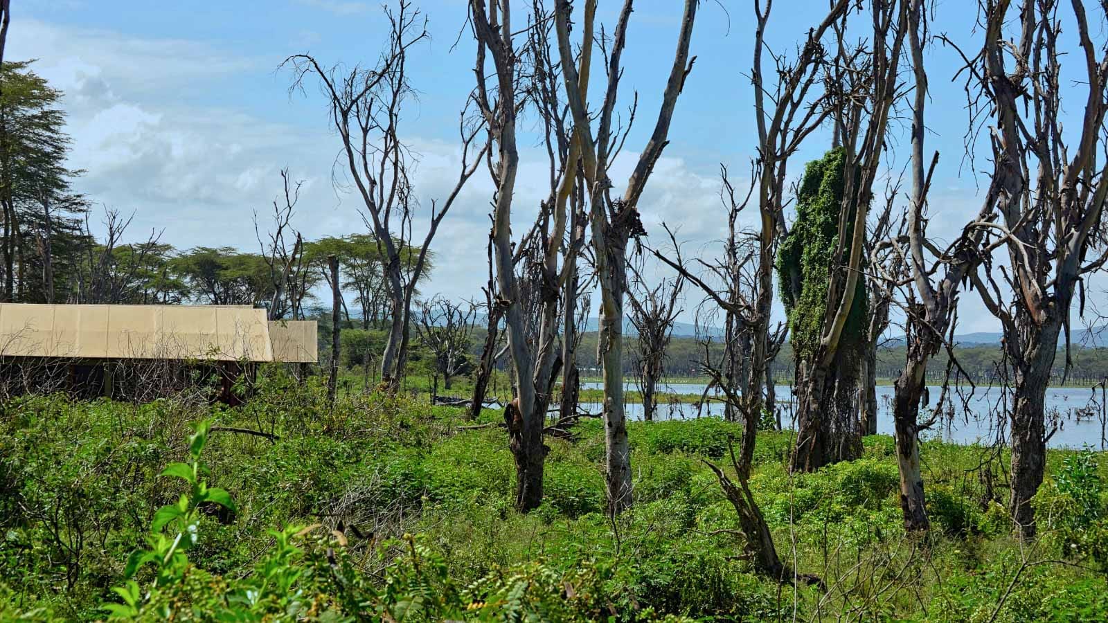 los_mejores_tented_camps_de_luo_en_naivasha