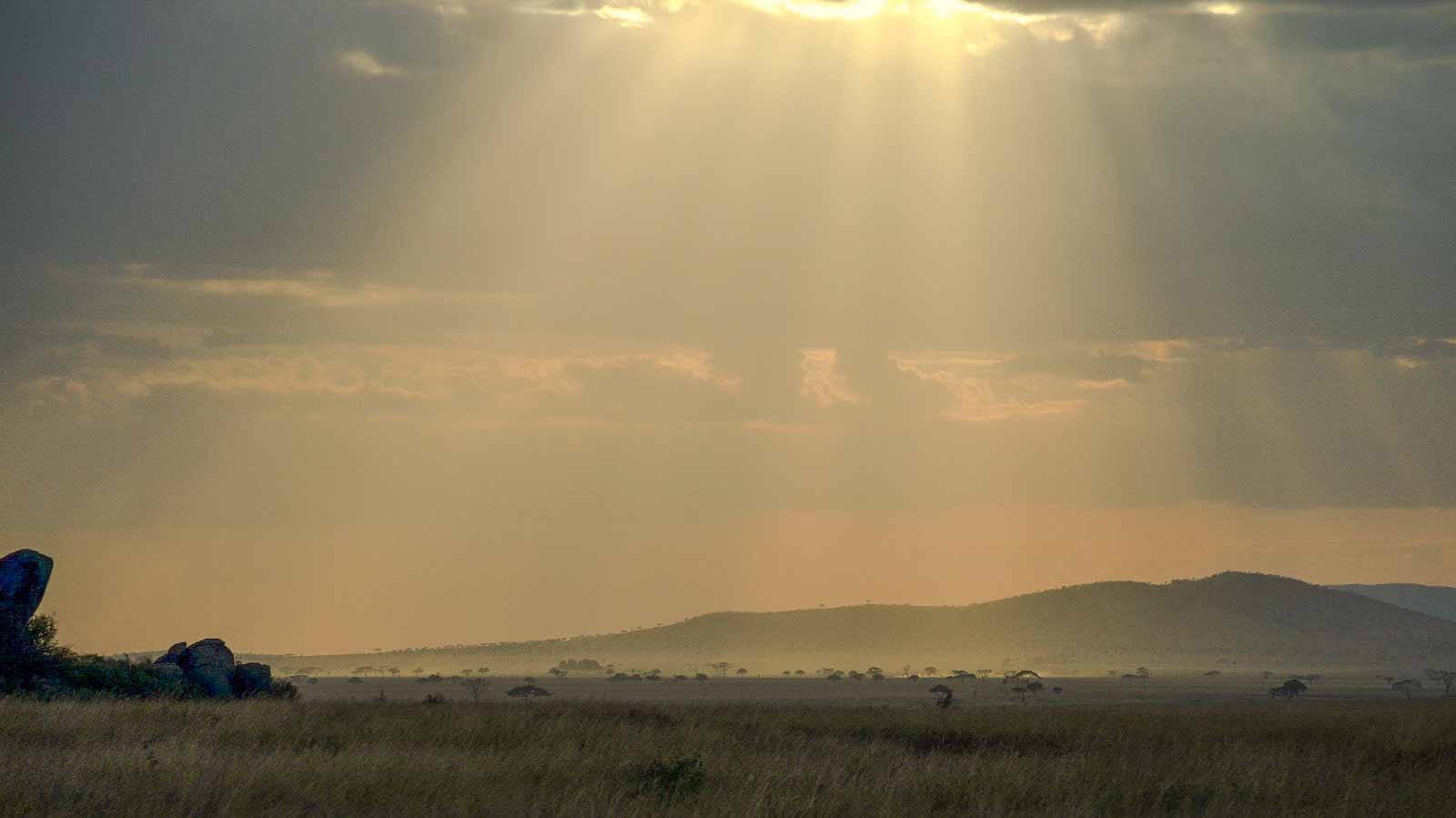 las_mejores_horas_para_hacer_safari_en_el_serengeti