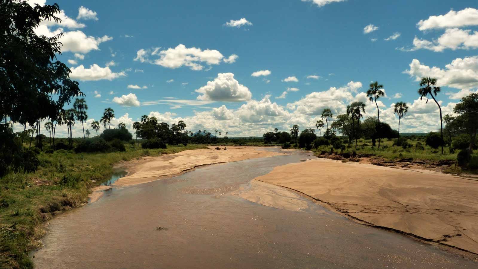 safari_en_el_rio_gran_ruaha_parques_nacionales_de_tanzania