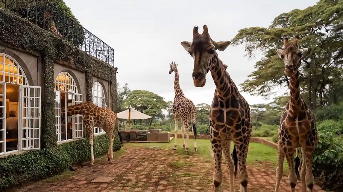 Giraffe Manor Hotel-2