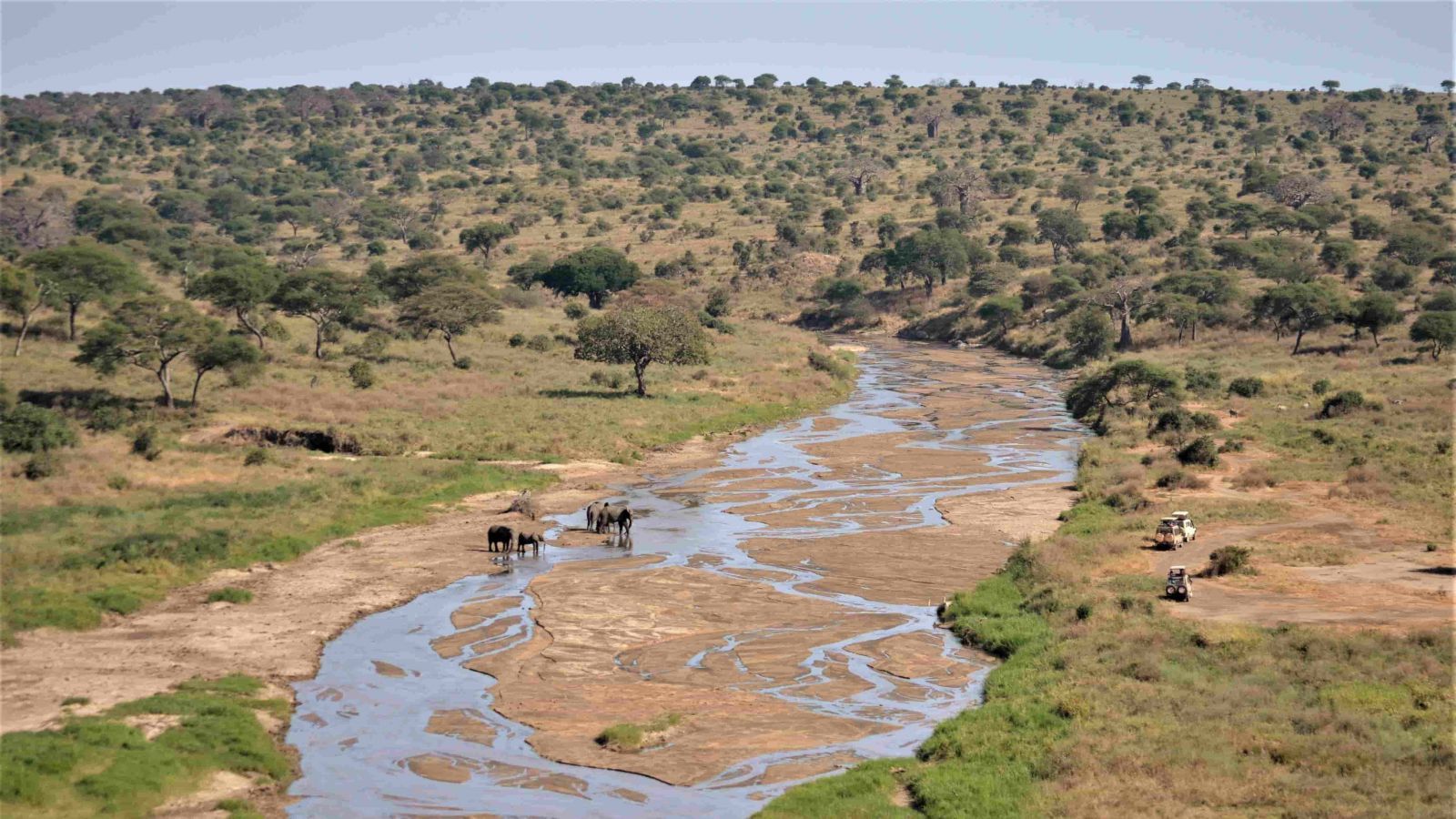 Safari en Tarangire National Park