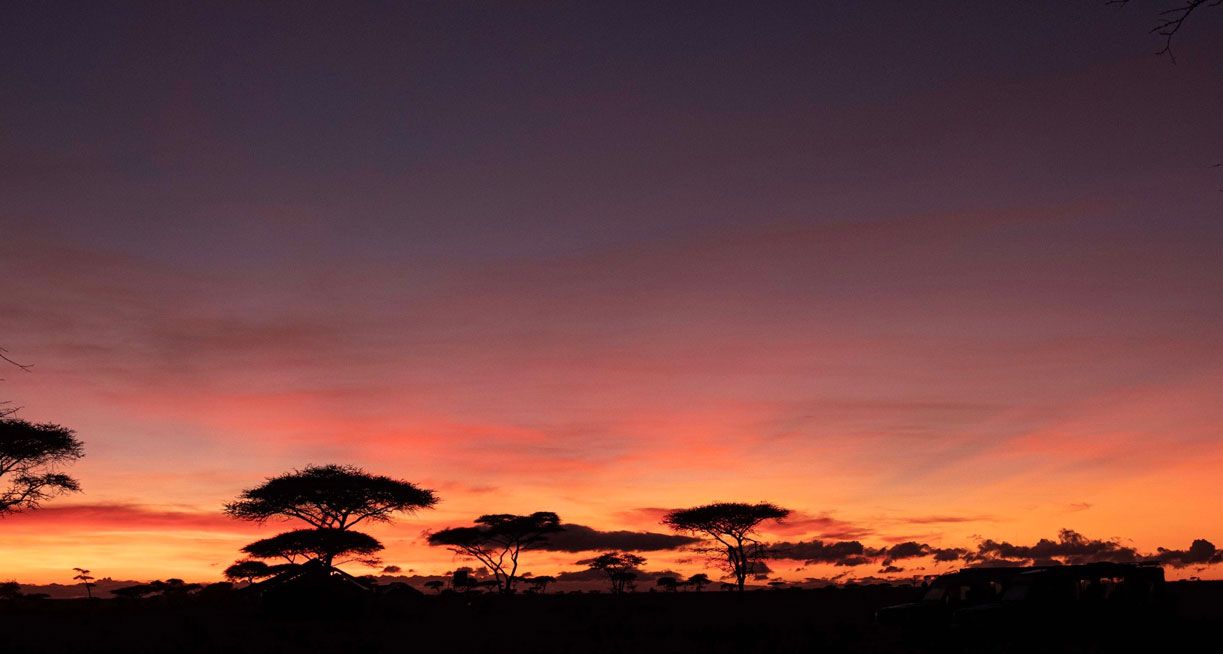 Serengeti-atardecer