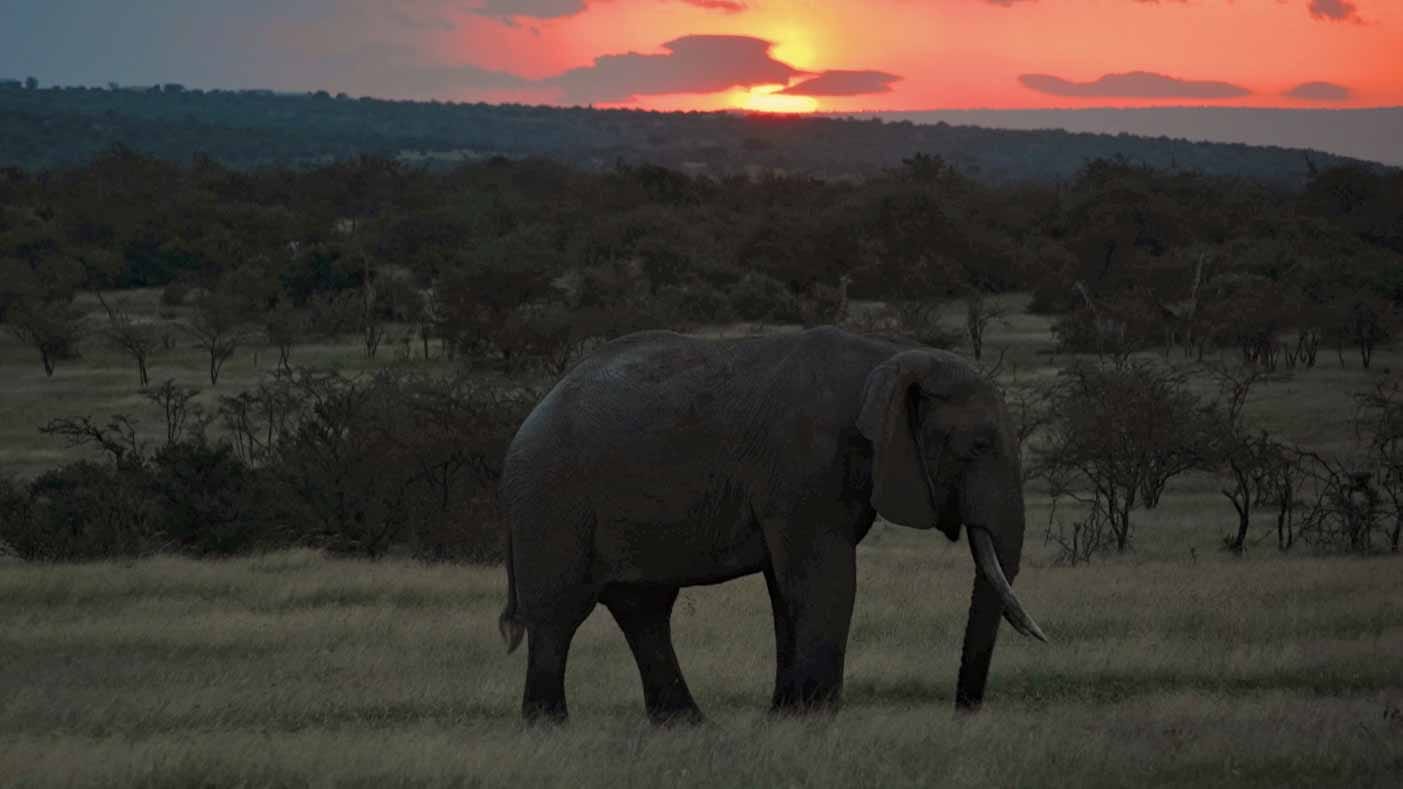 safair_en_naboisho_conservancy
