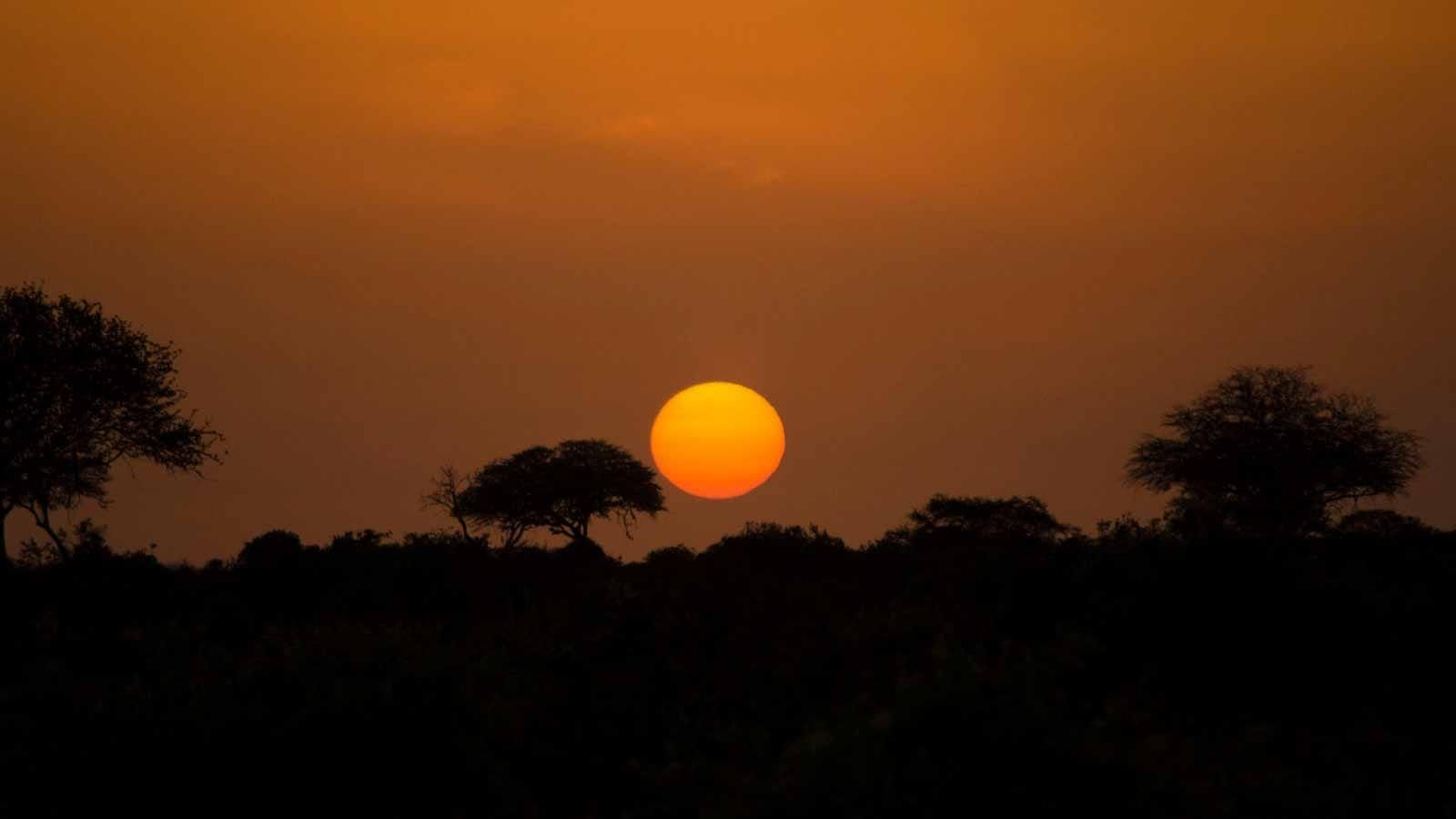 safari_en_samburu_kenia