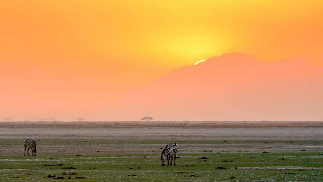 cebras_kenia_amboseli