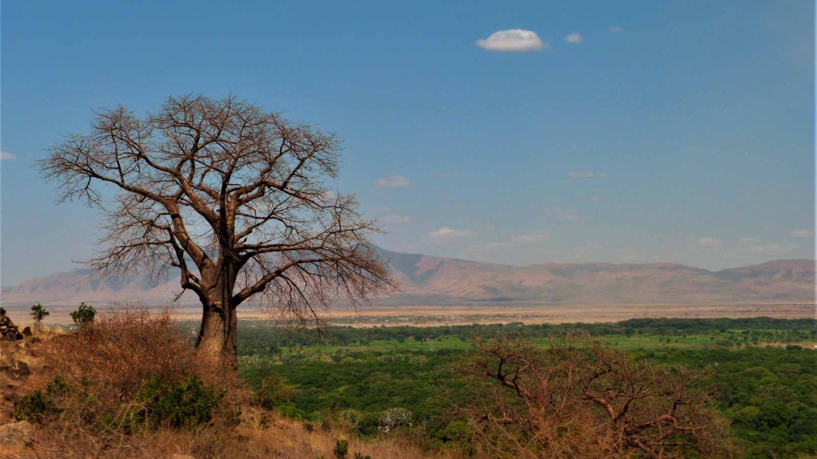 parque_nacional_del_lago_manyara