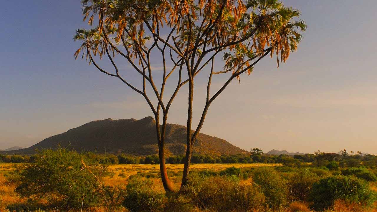 tours_en_kenia_samburu_safari