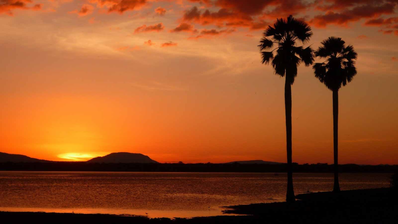 Parque Nacional de Nyerere_Reserva de Selous
