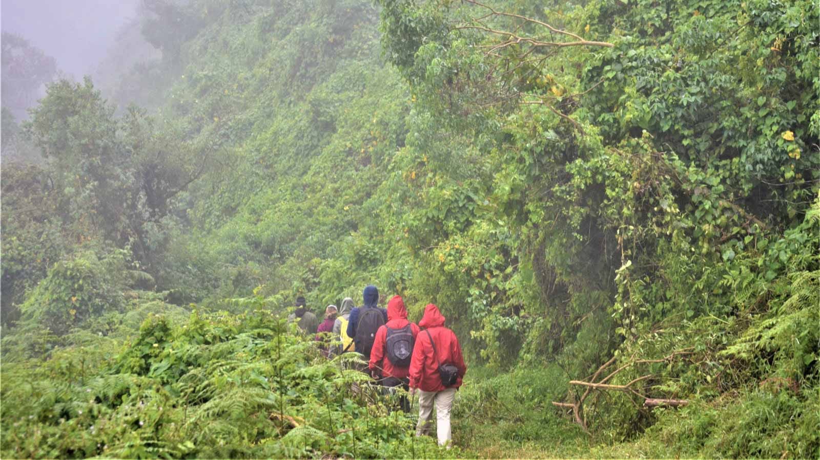 trekking_en_el_ngorongoro