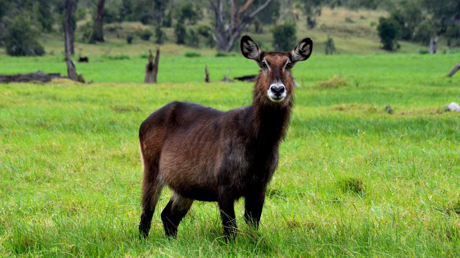 turismo_responsable_en_kenia