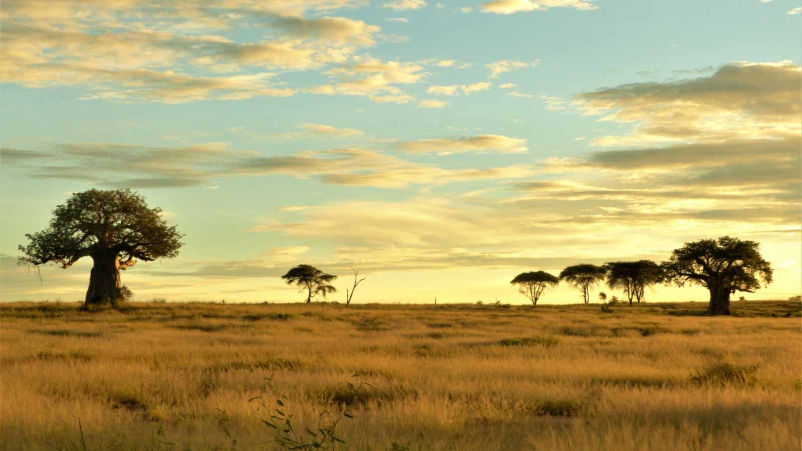 viajes_por_el_sur_de_tanzania