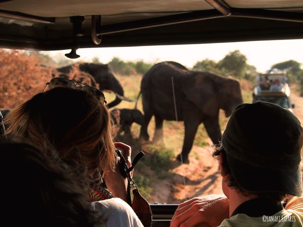 safaris en tanzania