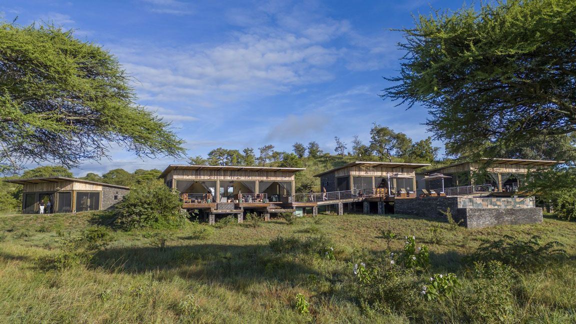 Tarangire-Elephant-Springs_4