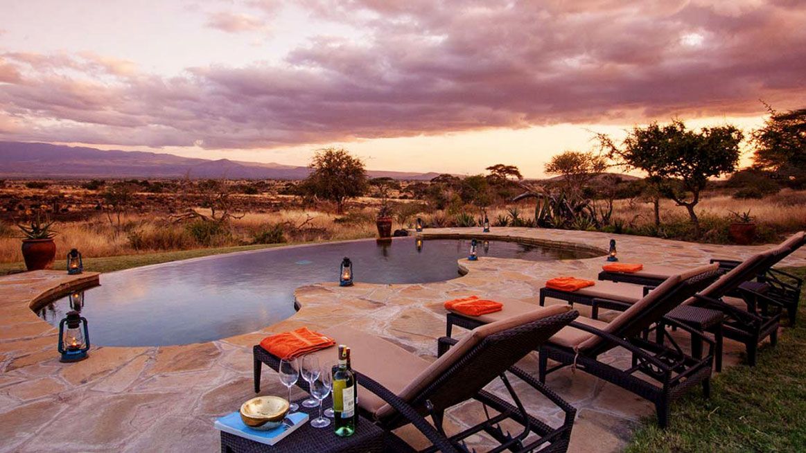 Tortilis Amboseli_4