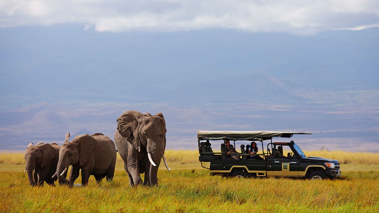 Tortilis Amboseli_1
