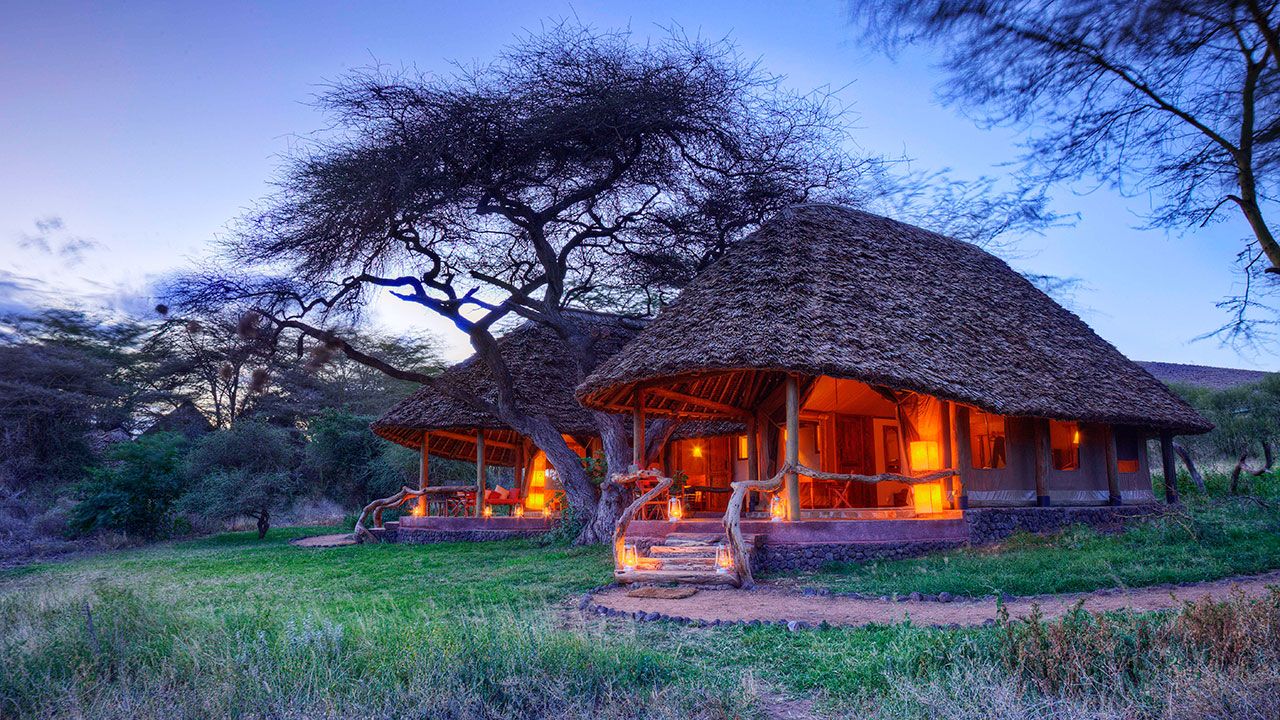 Tortilis Amboseli_4