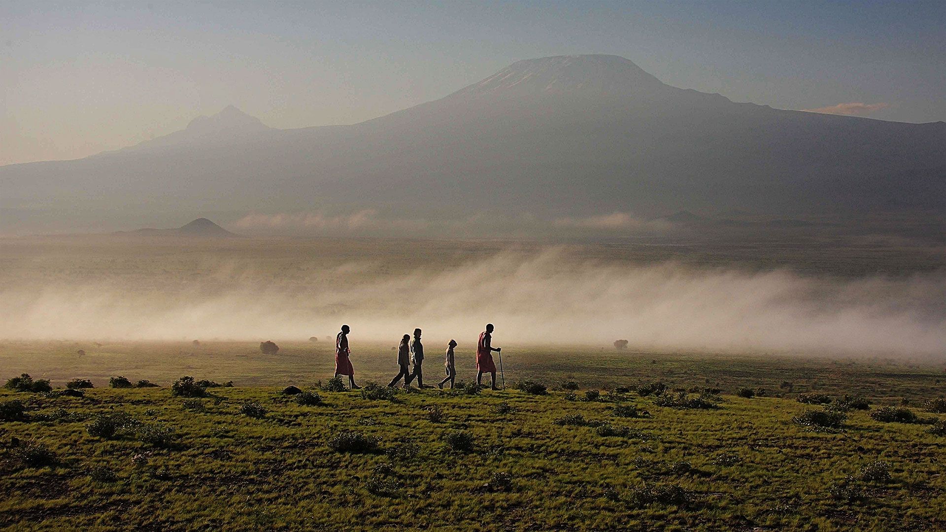 Tortilis Amboseli_7
