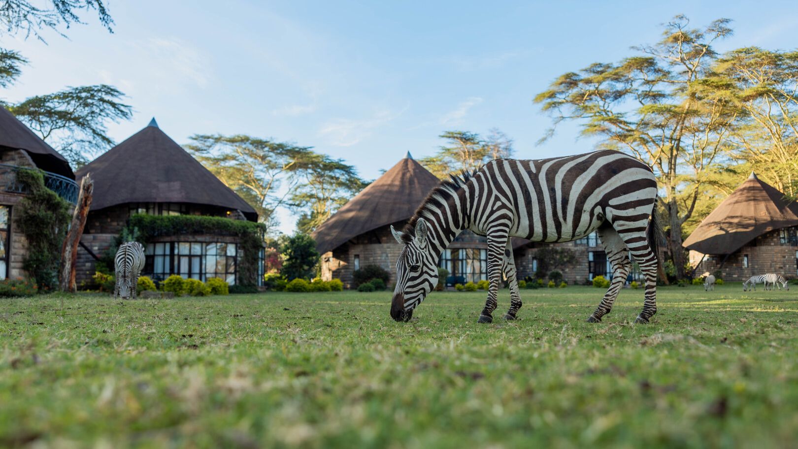 lake_naivasha_sopa_4