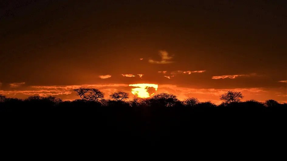 Atardecer_Serengeti.jpeg