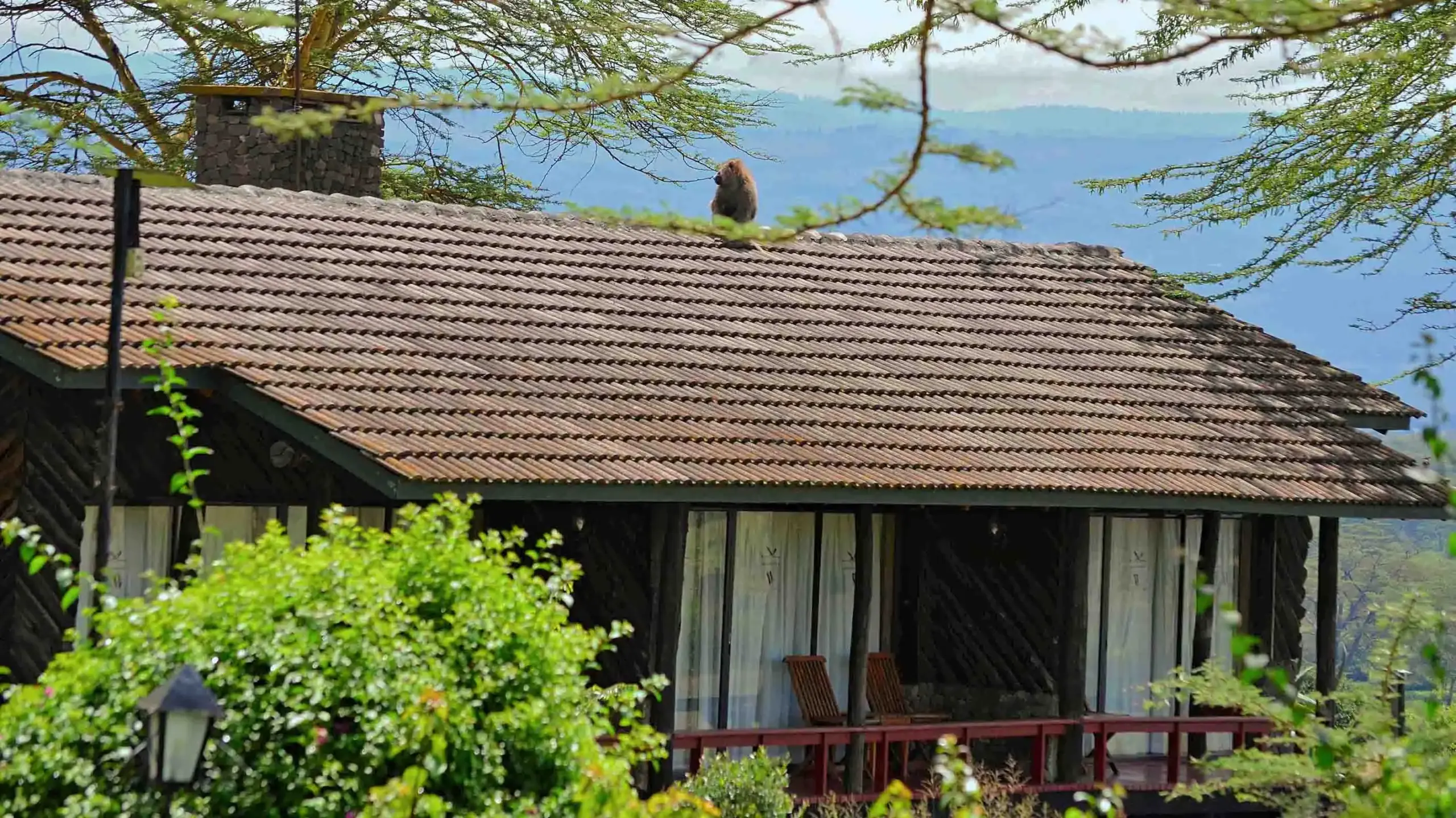 Lake Nakuru Lodge3
