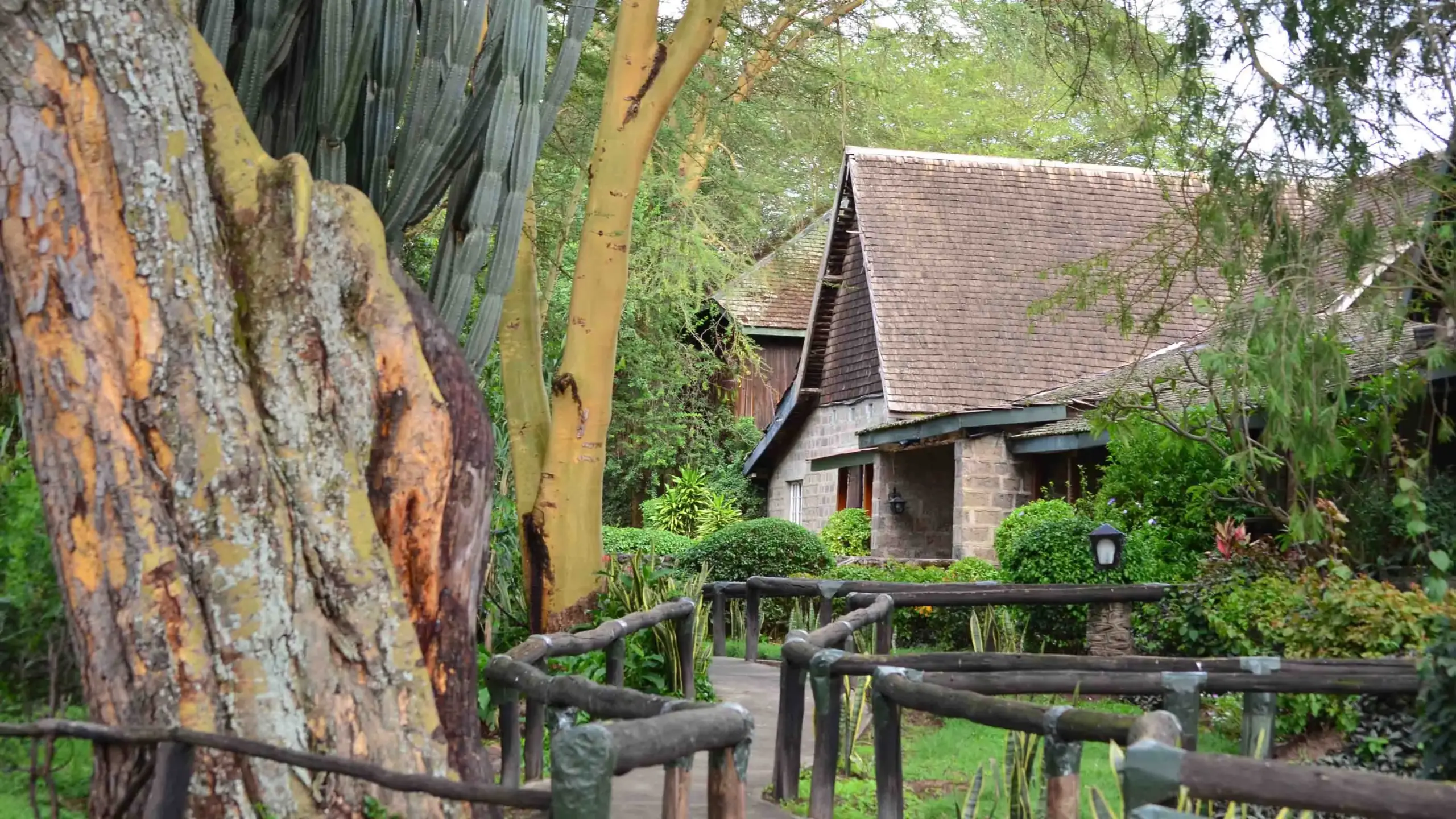 Lake Nakuru Lodge5
