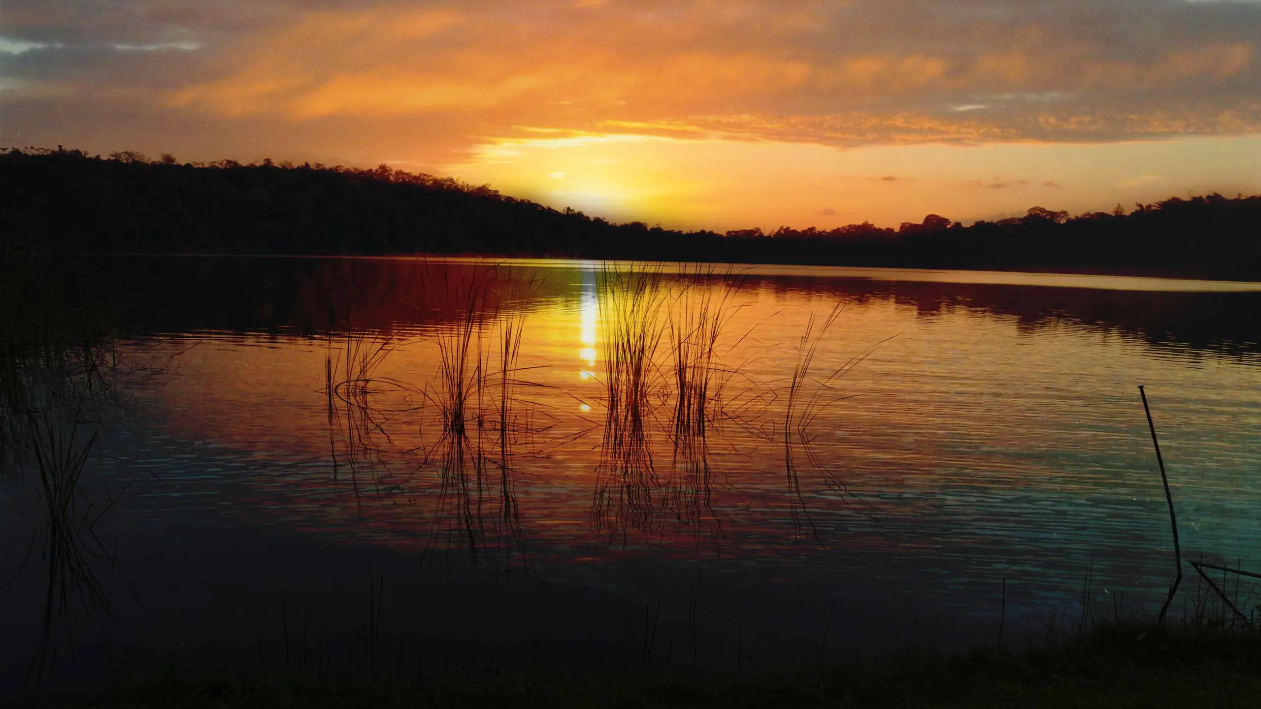 Lake Duluti Lodge1
