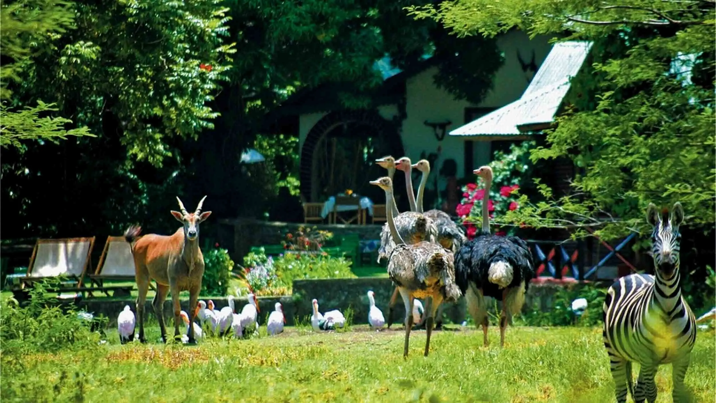 Mount Meru Game Lodge6