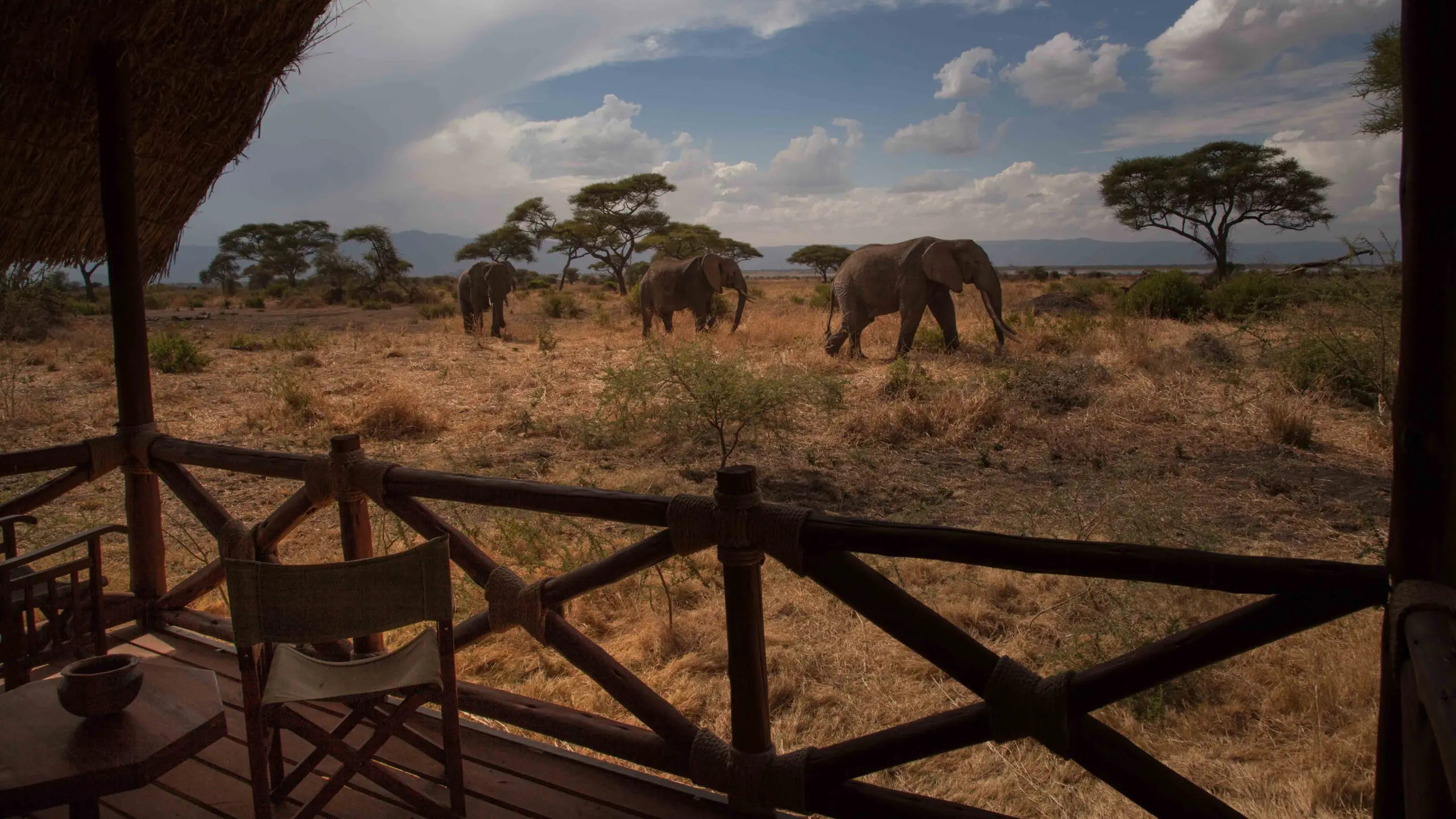 Tarangire Simba Lodge-1
