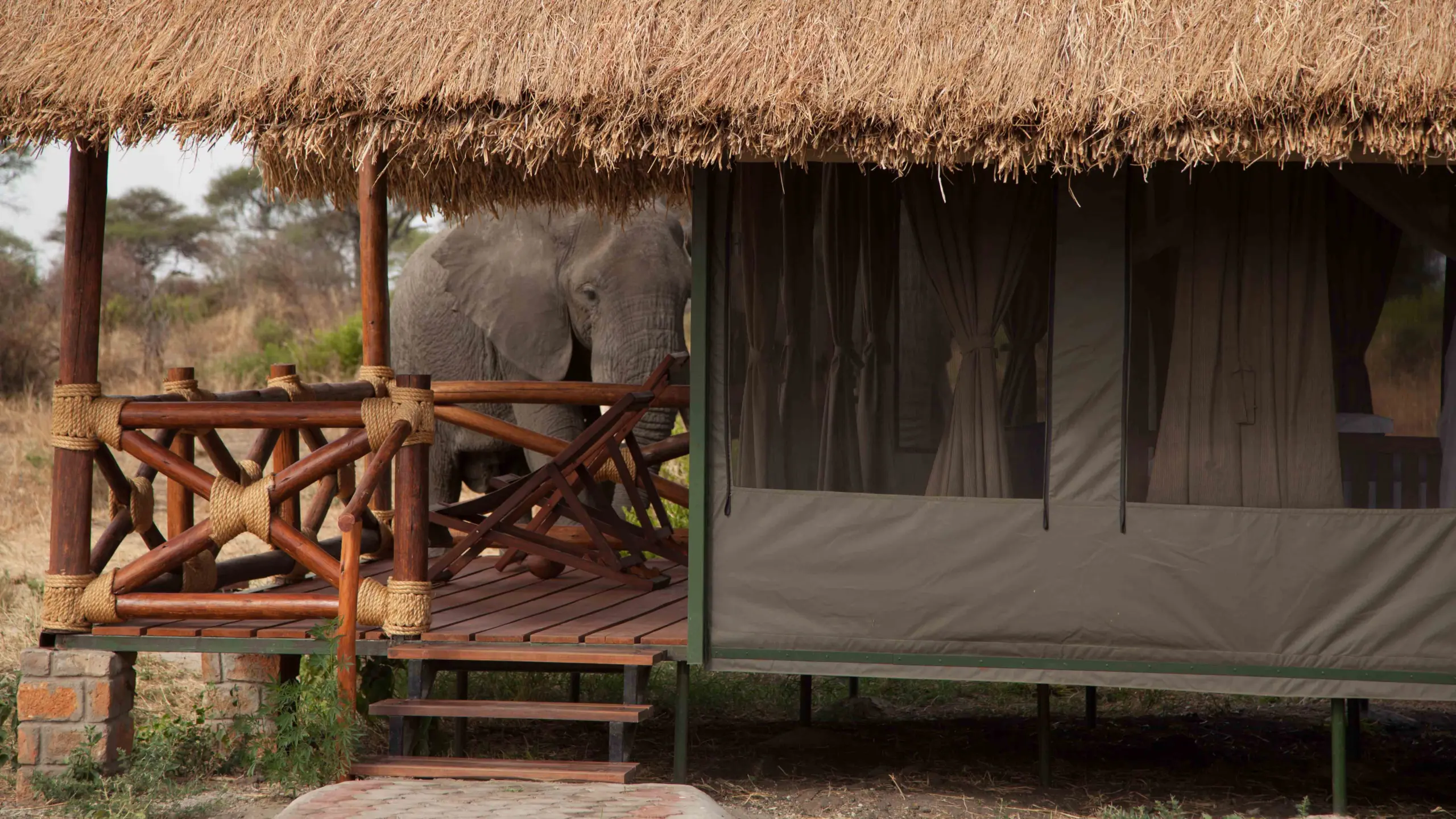 Tarangire Simba Lodge-8