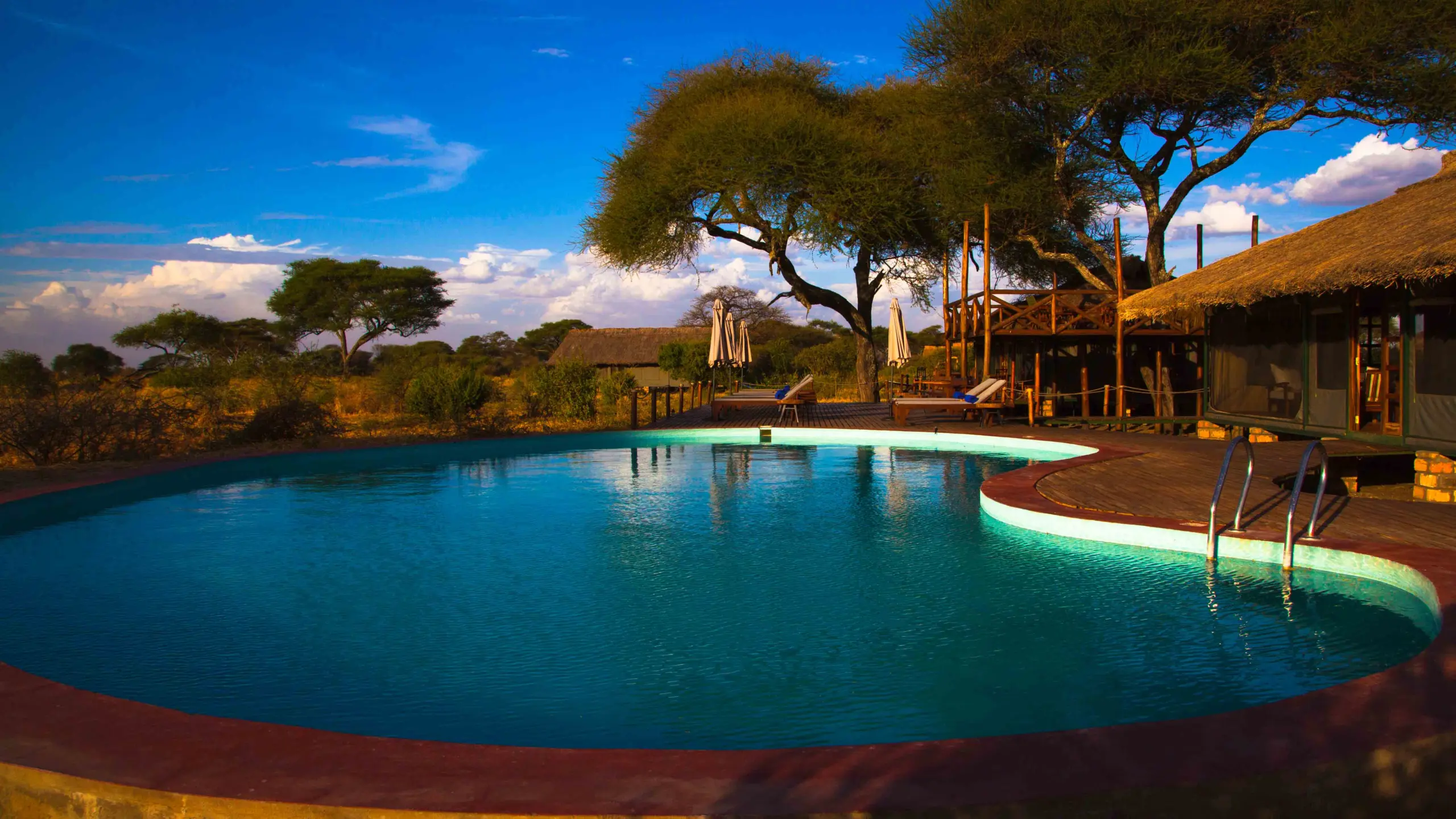 Tarangire Simba Lodge-3