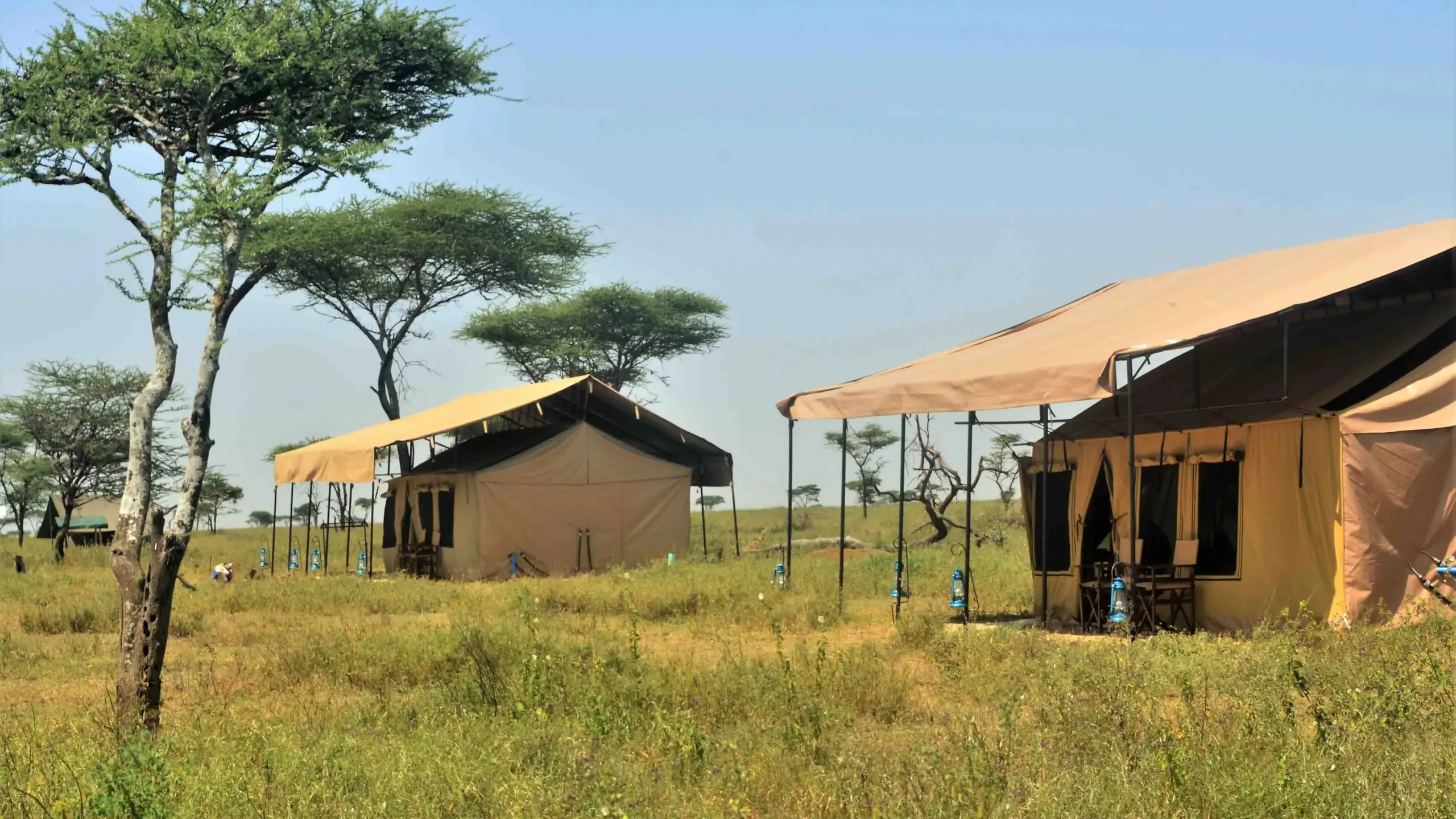 Gnu Migration Camp_2