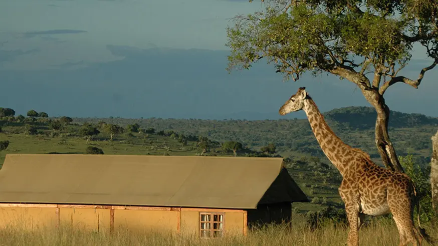Mara West Camp1