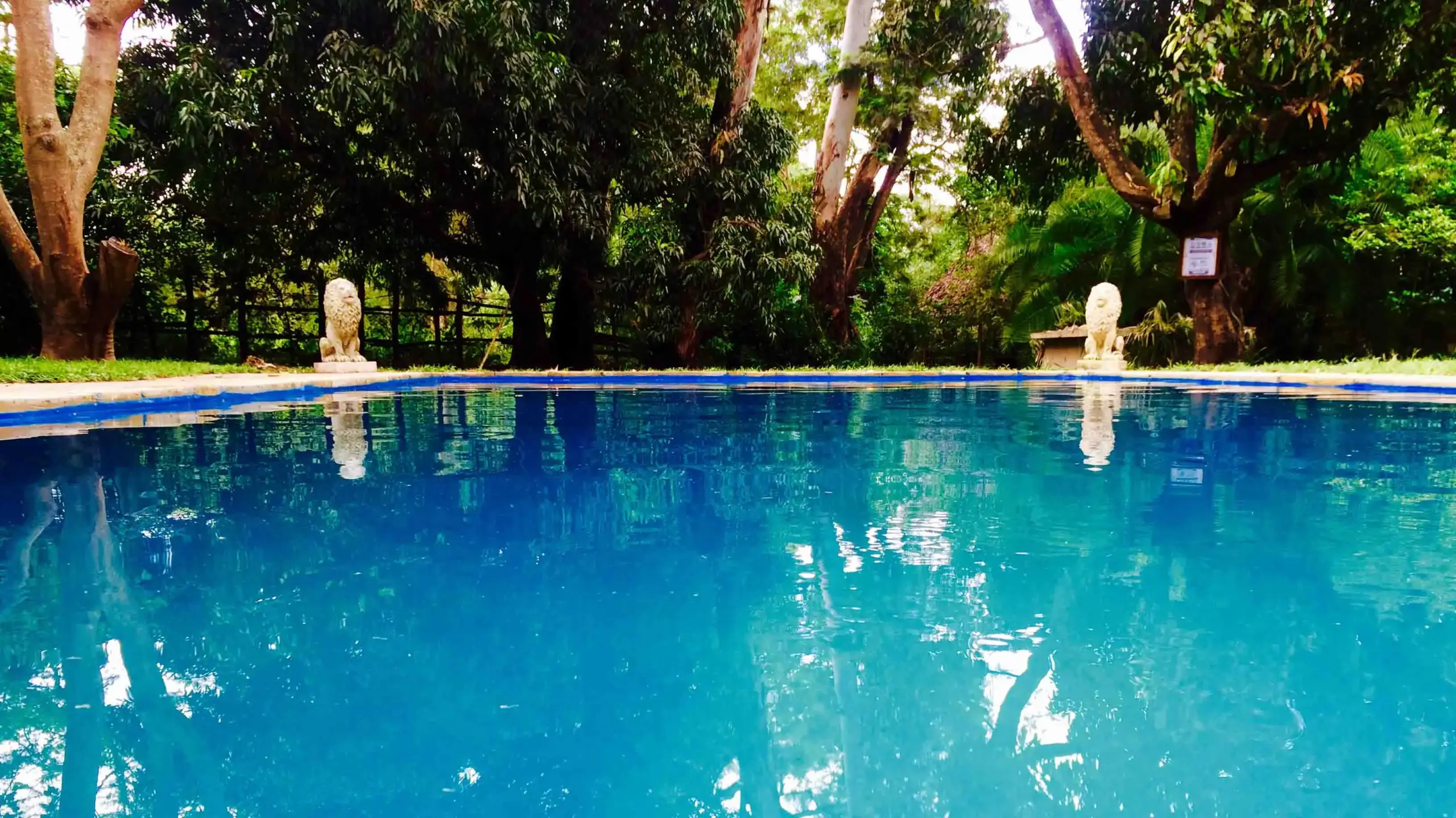 Mount Meru Game Lodge7