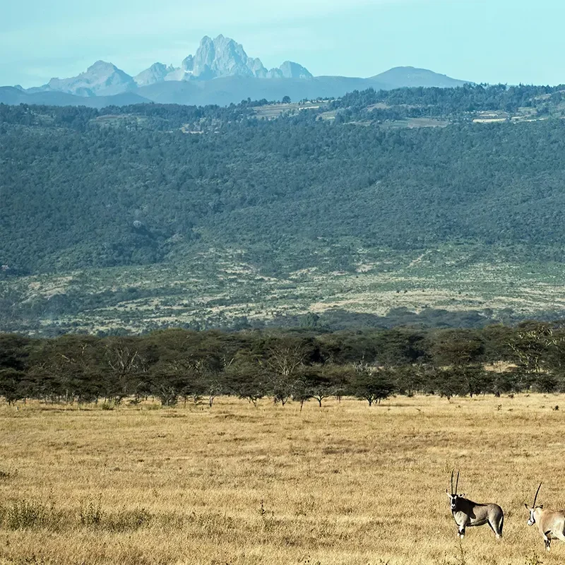 monte-kenia